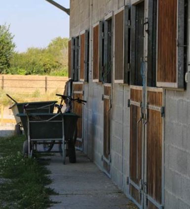 Pension box pour chevaux à Toulouse