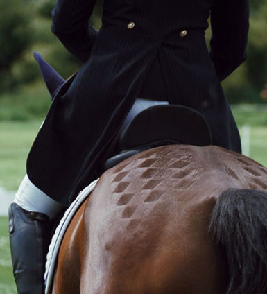Enseignement et cours d'équitation à Toulouse