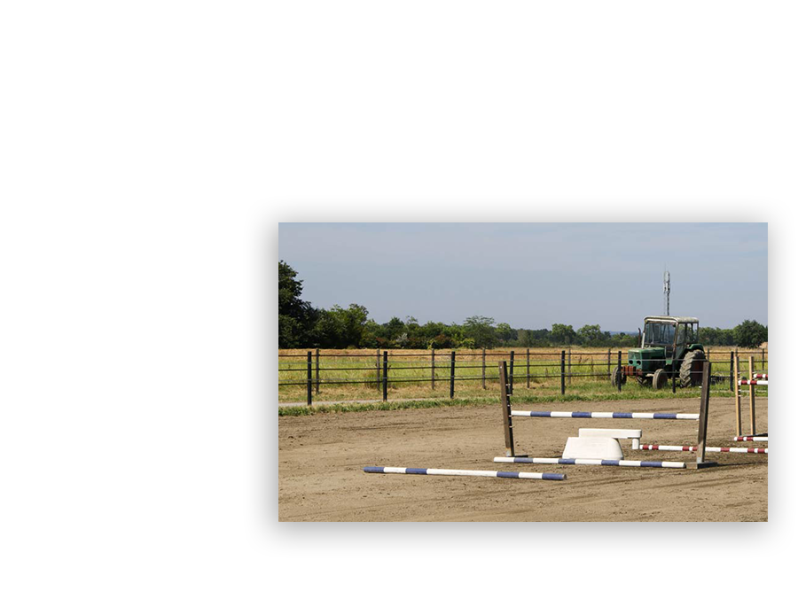 Parcours d'obstacles chevaux